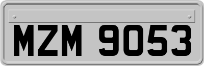 MZM9053