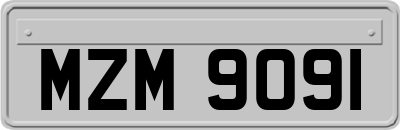 MZM9091