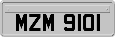 MZM9101