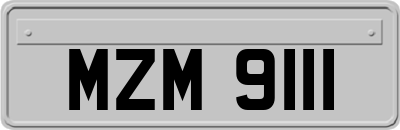 MZM9111