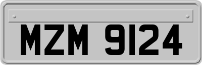 MZM9124