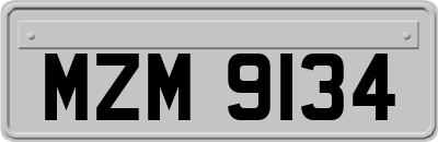 MZM9134