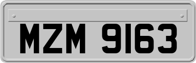 MZM9163