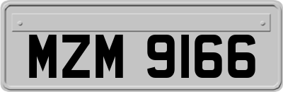MZM9166