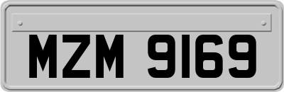 MZM9169
