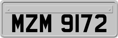 MZM9172
