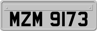 MZM9173