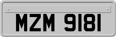 MZM9181