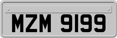 MZM9199