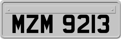 MZM9213
