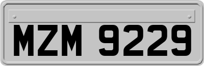 MZM9229