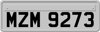 MZM9273