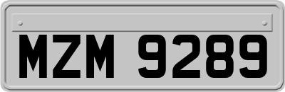 MZM9289