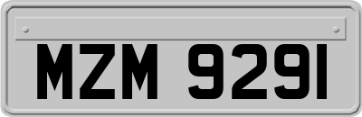 MZM9291