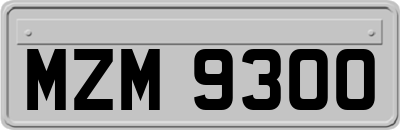 MZM9300
