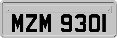 MZM9301