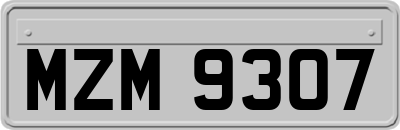 MZM9307