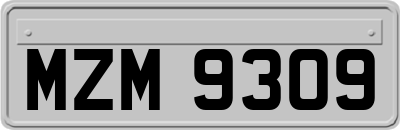 MZM9309