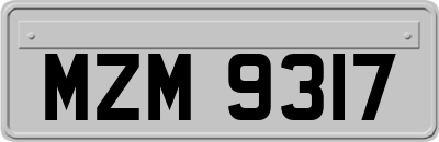 MZM9317