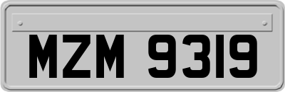 MZM9319
