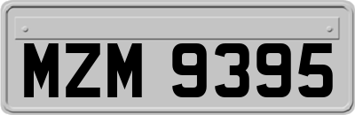 MZM9395