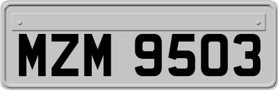 MZM9503
