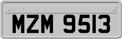MZM9513
