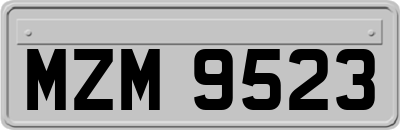 MZM9523