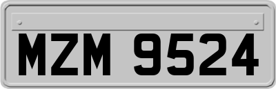 MZM9524