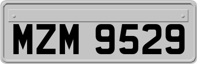 MZM9529