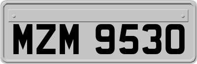 MZM9530