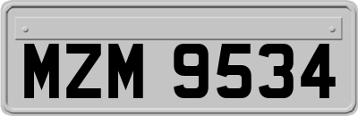 MZM9534