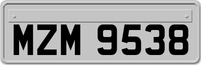 MZM9538