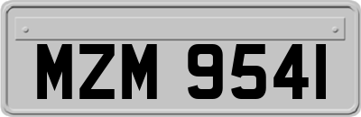 MZM9541