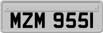 MZM9551