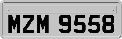 MZM9558