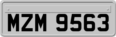 MZM9563