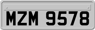 MZM9578