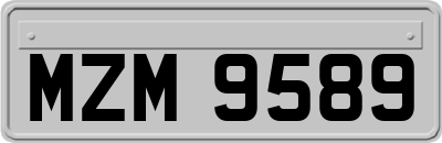 MZM9589