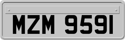 MZM9591