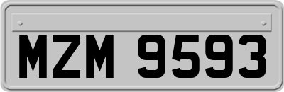 MZM9593