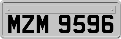 MZM9596