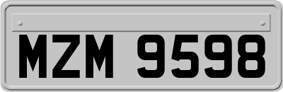 MZM9598