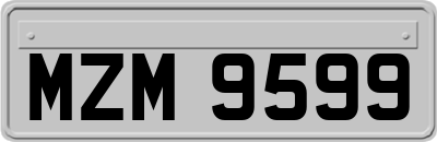 MZM9599