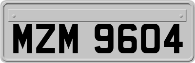 MZM9604