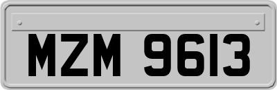 MZM9613