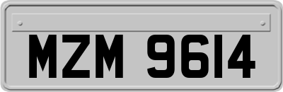 MZM9614