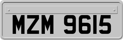 MZM9615