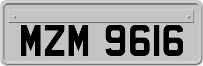 MZM9616