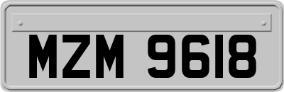 MZM9618